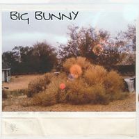 BIG BUNNY - The Man Who Sold The World