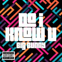 BIG BUNNY - Do I Know You (Explicit)