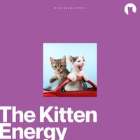 Music For Cats - The Kitten Energy