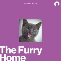 Cats Music Zone - The Furry Home
