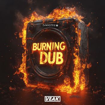 Veak - Burning Dub