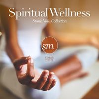 Stefan Zintel - Spiritual Wellness (Static Noise Collection)