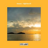 Nenad J. - Right Now EP (Explicit)