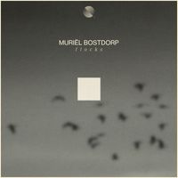 Muriël Bostdorp - Flocks