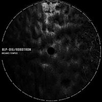 ROBotron - Insanis Tempus