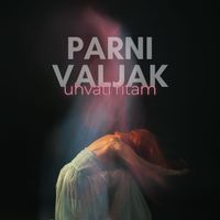Parni Valjak - Uhvati ritam