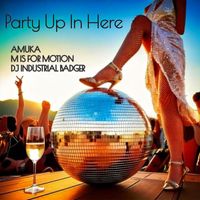 Amuka - Party Up In Here (Explicit)