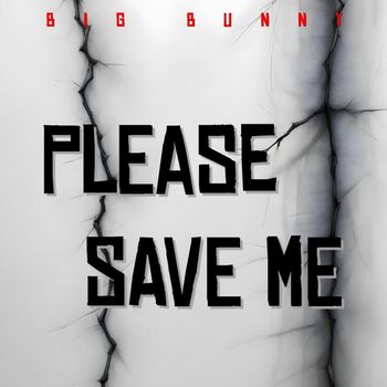 BIG BUNNY - Please Save Me