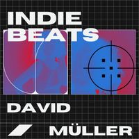 David Müller - Indie Beats