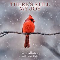 Liz Callaway - There's Still My Joy (feat. Peter Calo)