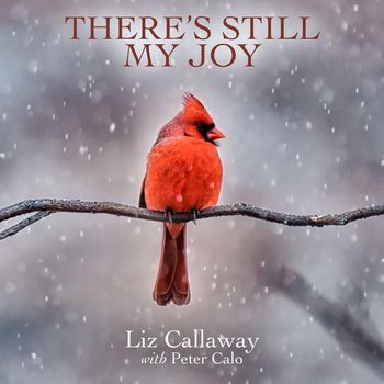 Liz Callaway - There's Still My Joy (feat. Peter Calo)