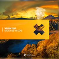 William Silva - Where Have You Gone