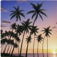 breeze - Romantic Sunset