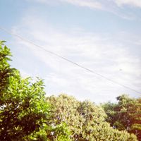 Echo Park - Sky Line