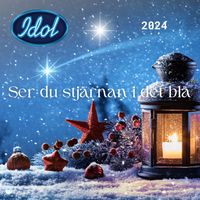 Idol - Ser du stjärnan i det blå
