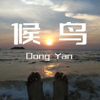 Dong Yan - 候鸟
