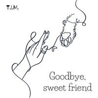 T.I.M. - Goodbye Sweet Friend