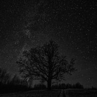 Grade - call of the wind w/ saiph