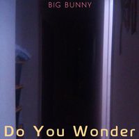 BIG BUNNY - Do You Wonder