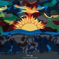 Tunng - Songs You Make at Night