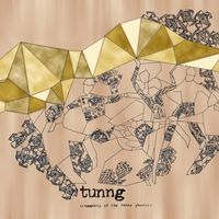Tunng - Comments of the Inner Chorus