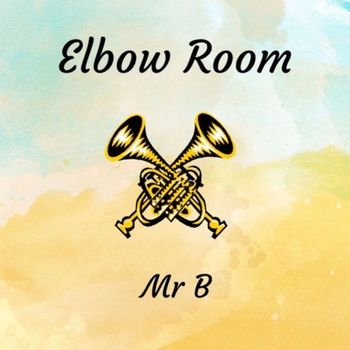 Mr B - Elbow Room (Explicit)