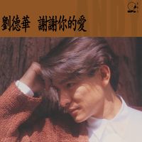 劉德華 - 謝謝你的愛