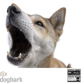 Dj X - DogBark