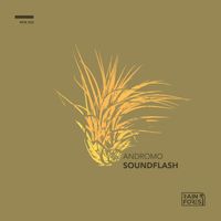 Andromo - Soundflash