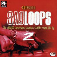 Bally Sagoo - Sagloops Volume 2 - The Ultimate Bhangra Break Beats For The DJ