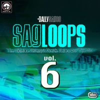 Bally Sagoo - Sagloops Volume 6 - The Ultimate Bhangra Break Beats For The DJ
