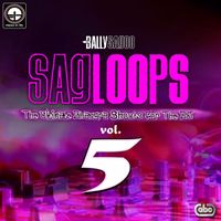 Bally Sagoo - Sagloops Volume 5 - The Ultimate Bhangra Shouts For The DJ