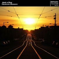 Just a Guy - Electronic Blossom