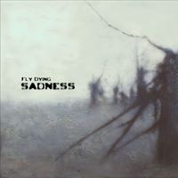 Fly Dying - Sadness