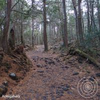 Bjorn Rohde - Aokigahara