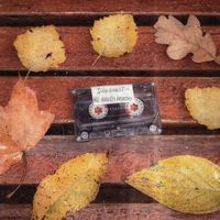 Sunburst - Не нашёл розетку