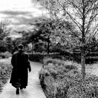 Rosendo - Vagabundo del Amor