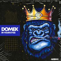 Domek - In Your Eyes