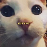 xeneko - ^x^FATCAT^x^