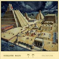 Ocelote Rojo - Pacarina