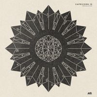 Royalston - Capricorn 15