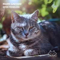 Mark Gaetani - Dyer Fenelon
