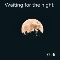 Gidi - Waiting for the Night