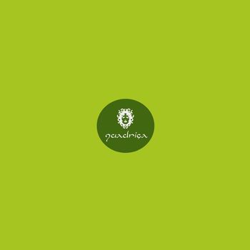 Simplex Sensus - Virtual Flash (Extended Mix)
