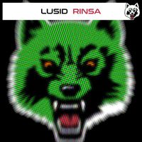 Lusid - Rinsa