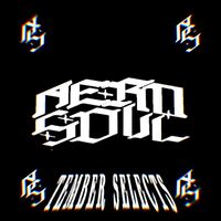 Aero Soul - TEMBER SELECTS