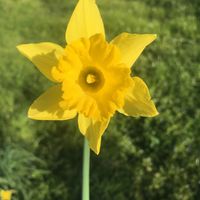 The Invisible - Average Heart