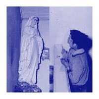 Shelter - Language Loss