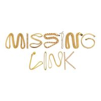 Visionaries - Missing Link (Explicit)