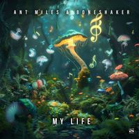 Ant Miles, Boneshaker - My Life